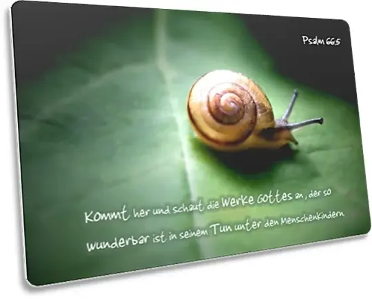 Postkarte: Schnecke auf Blatt