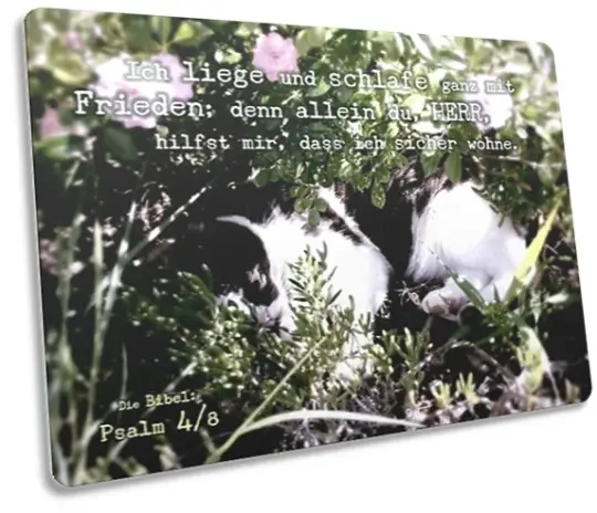 Christliche Postkarte: Unter Rosenstock schlafende Katze