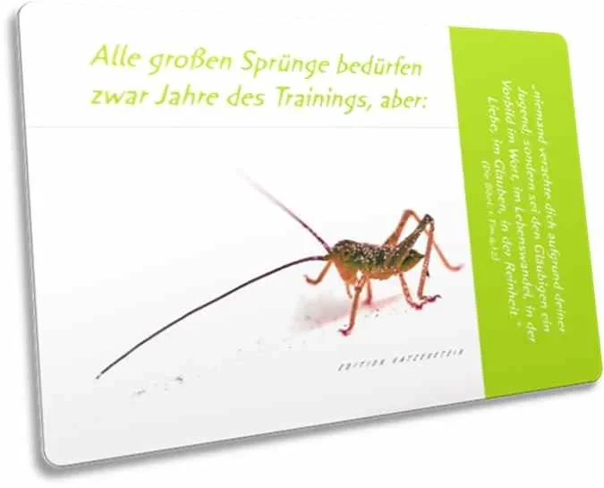 Postkarte: junger Grashüpfer