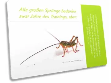 Postkarte: junger Grashüpfer