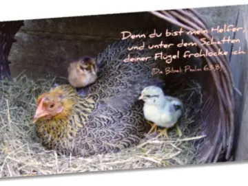 Postkarte lang - Henne im Korb - Maxicard