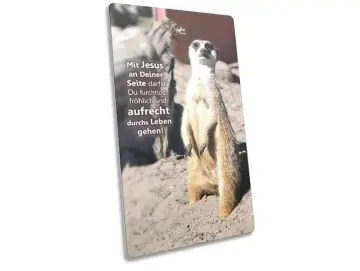Postkarte lang - stehendes Erdmännchen - Maxicard