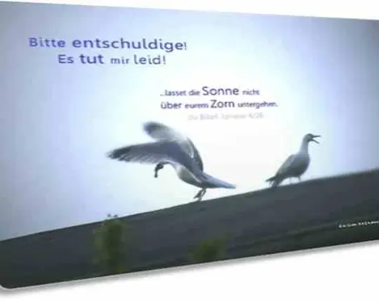 Christliche Postkarte zum Thema Versöhnung: Möwenpaar
