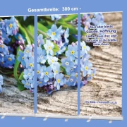 Roll-Up-Display - Vergissmeinnicht-Blüten- 300x200cm