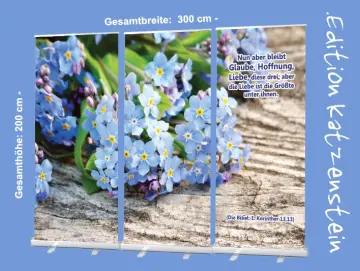 Roll-Up-Display - Vergissmeinnicht-Blüten- 300x200cm
