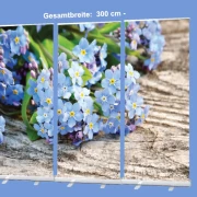 Roll-Up-Display - Vergissmeinnicht-Blüten- 300x200cm