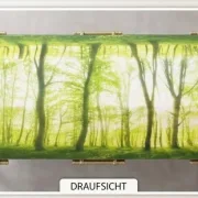 Draufsicht auf das vollständig ausgebreitete Sargbanner „Frühlingswald“ mit hellem Frühlingswaldmotiv zur würdevollen Sarggestaltung